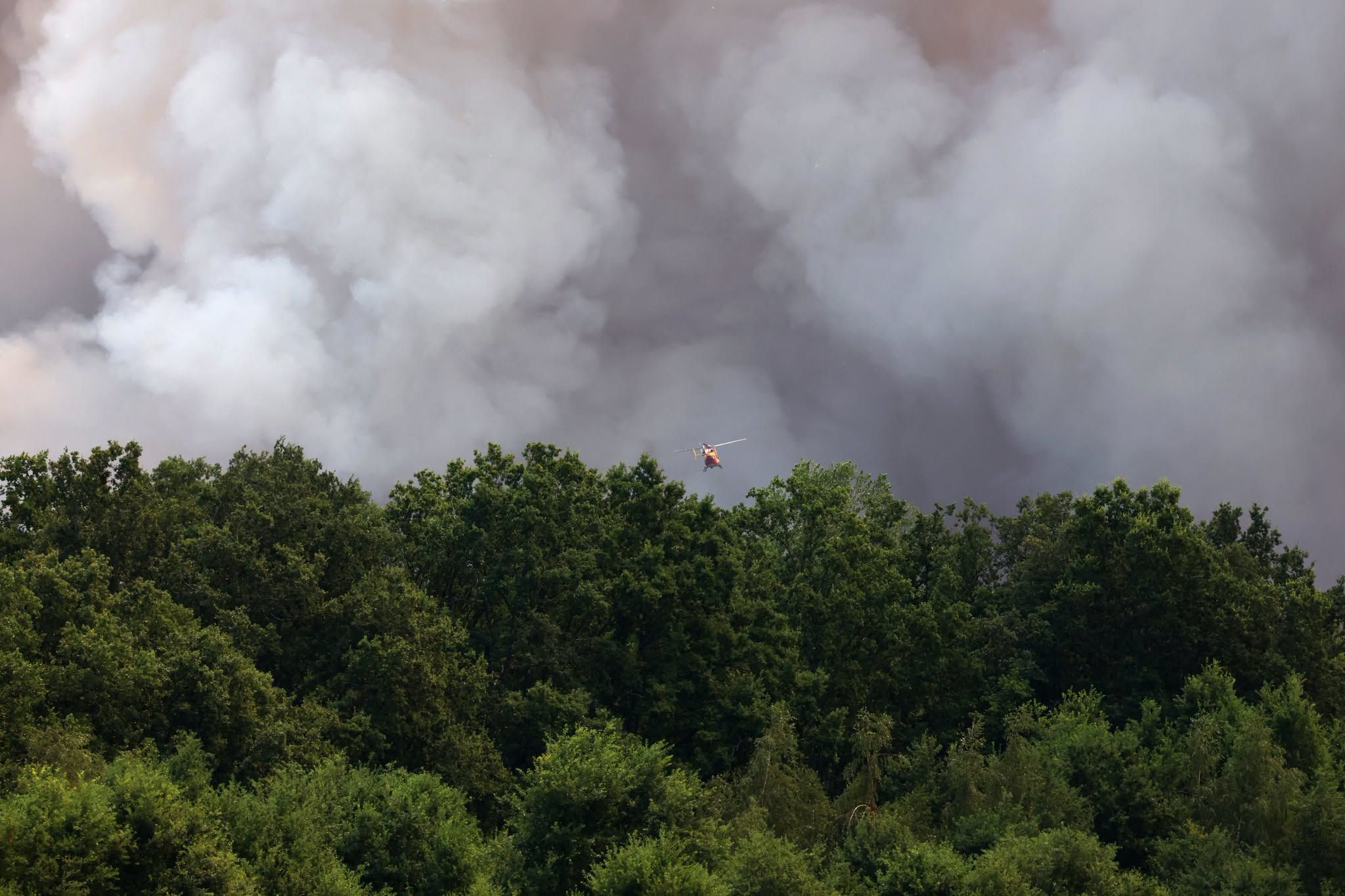 1,300 ektarya ng lupa, natupok sa malaking wildfire sa Fontainebleau, France!.jpg