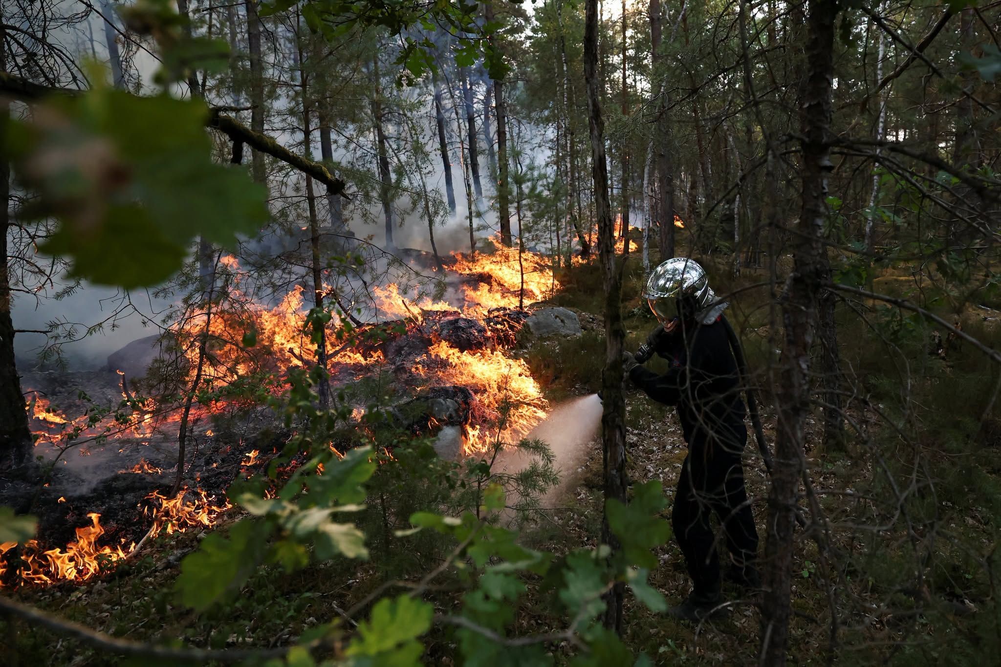 1,300 ektarya ng lupa, natupok sa malaking wildfire sa Fontainebleau, France..jpg