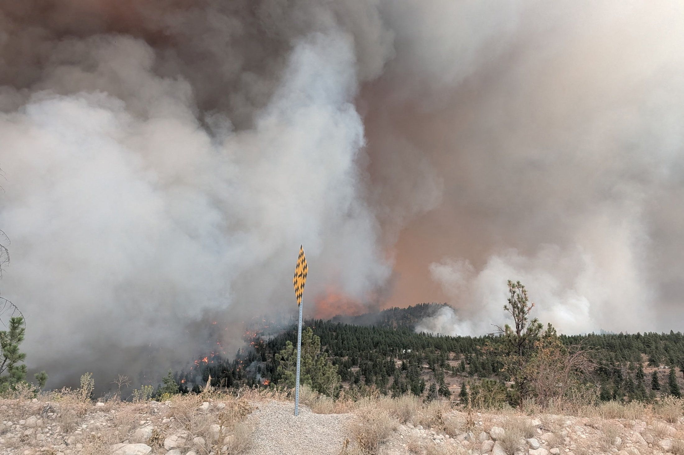 2026-08-08T193304Z_1_LYNXMPEM770CG_RTROPTP_4_CANADA-WILDFIRES.JPG