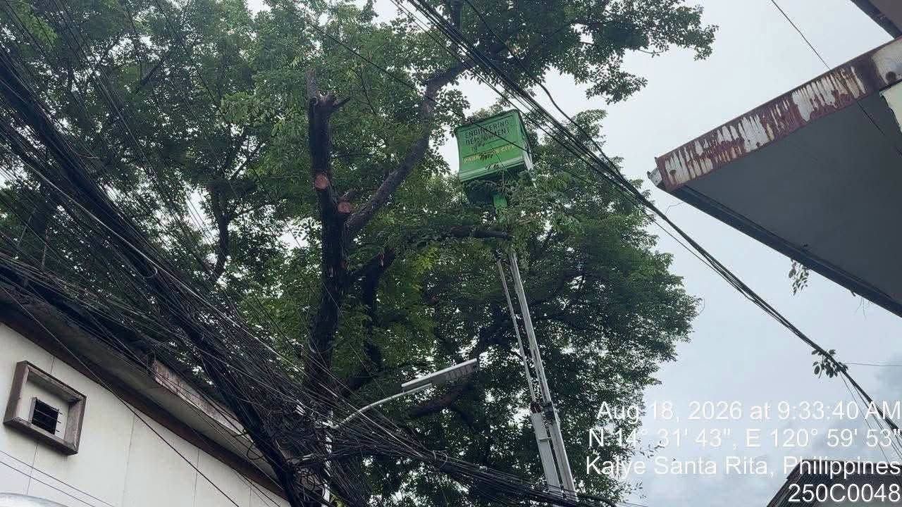 Malaking puno, tumumba sa Brgy. Baclaran, Parañaque City dahil sa lakas ng hangin at ulan..jpg