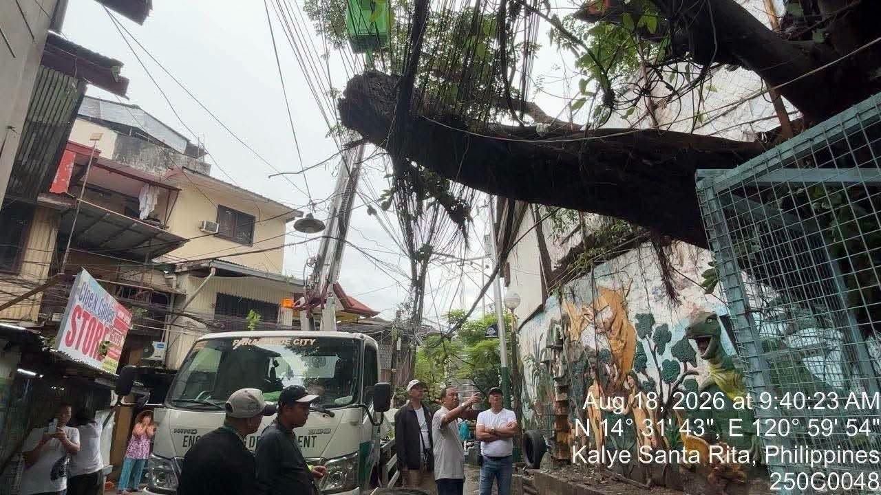 Malaking puno, tumumba sa Brgy. Baclaran, Parañaque City dahil sa lakas ng hangin at ulan.jpg