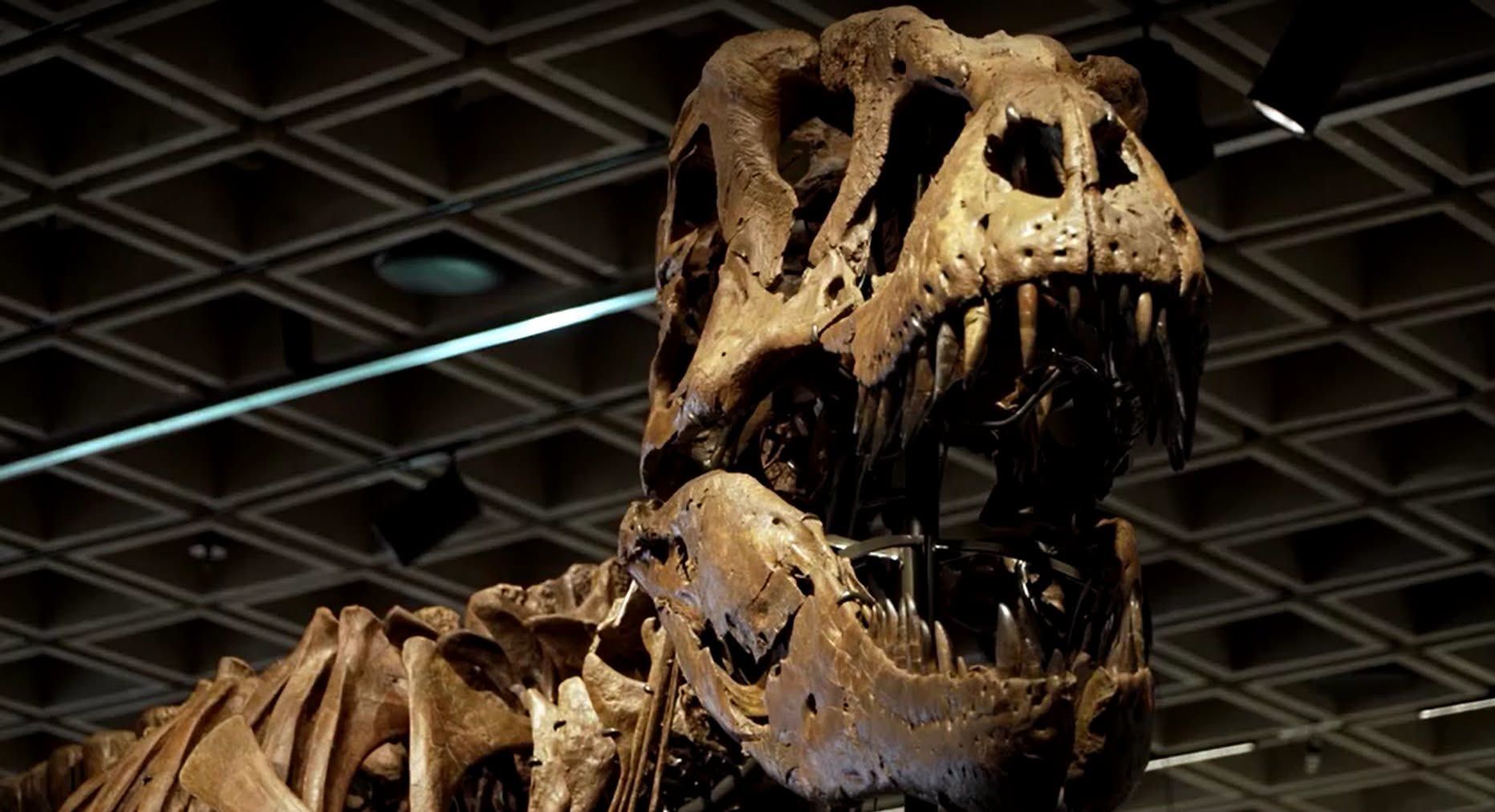 Skeleton ng T-Rex na si ‘Gus,’ Nabenta sa Rekord na $50.1-M sa Auction!.jpg