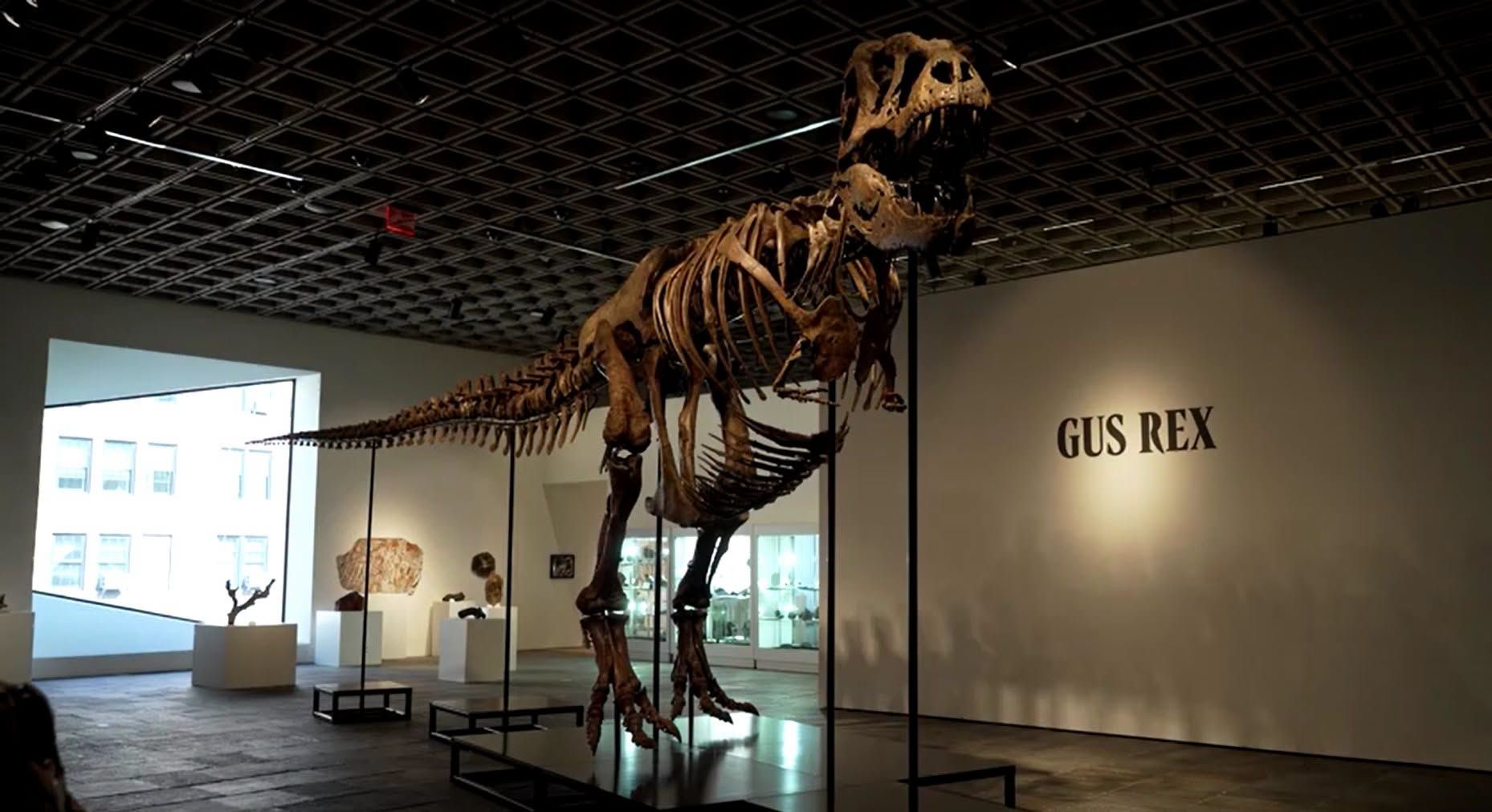 Skeleton ng T-Rex na si ‘Gus,’ Nabenta sa Rekord na $50.1-M sa Auction!!!.jpg